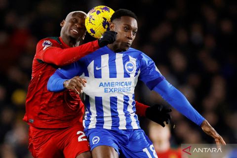 Laga Brighton vs Wolverhampton berakhir 0-0