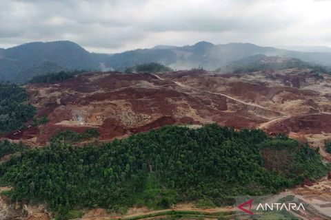 Sekitar 2 juta hektar lahan berpotensi mengandung nikel