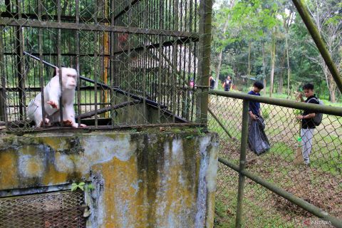Aksi kepedulian komunitas di Medan Zoo