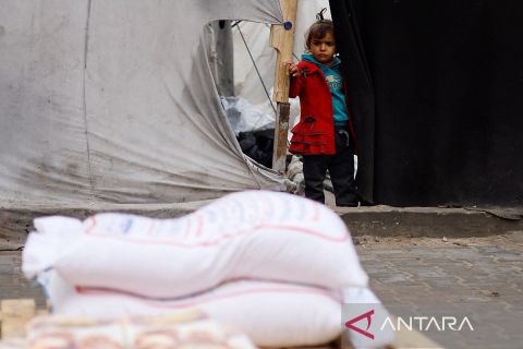 Pengungsi Palestina terimbas penyetopan bantuan dana untuk UNRWA