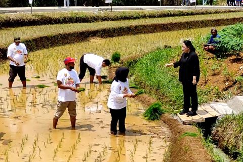 Resmikan program tani muda, Ketua DPR ajak milenial bertani
