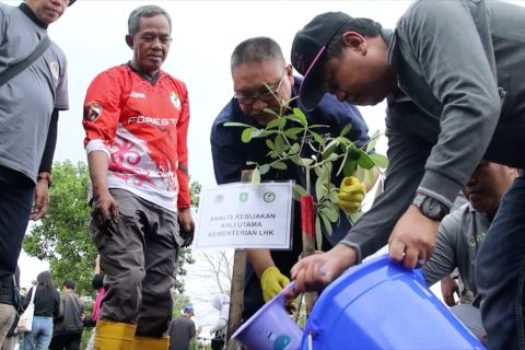 Upaya KLHK pulihkan lahan kritis kawasan hutan lindung di Kalbar