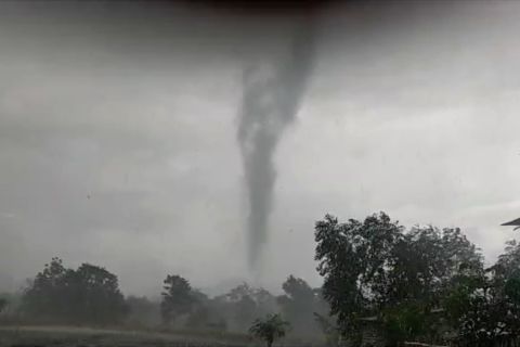 Angin kencang, rumah-rumah di dua desa Bondowoso porak-poranda