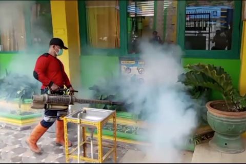DBD menyebar di Sultra, fogging di sekolah-sekolah mulai dilakukan