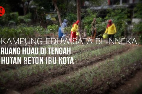 Kampung Eduwisata Bhinneka, ruang hijau di tengah hutan beton ibu kota