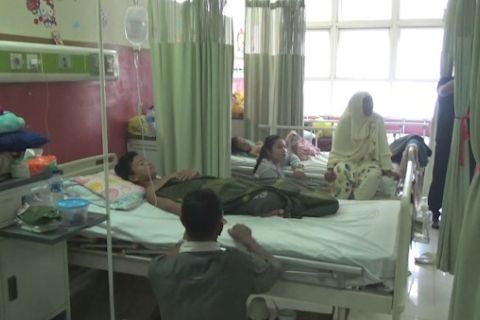 82 kasus ditemukan, Kalsel waspada DBD
