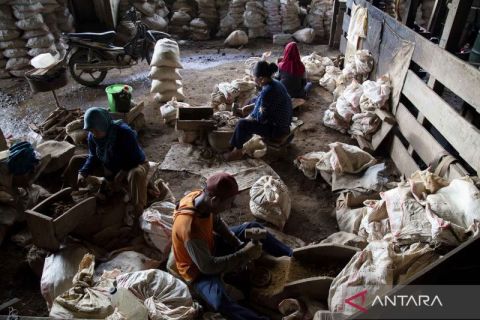 Begini aktivitas tambang emas tradisional di Maluku Utara