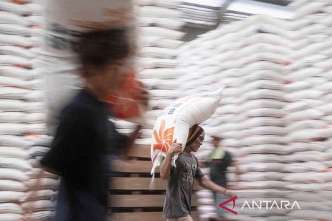 Beras, bawang putih dan tomat penyumbang Inflasi Januari 2024