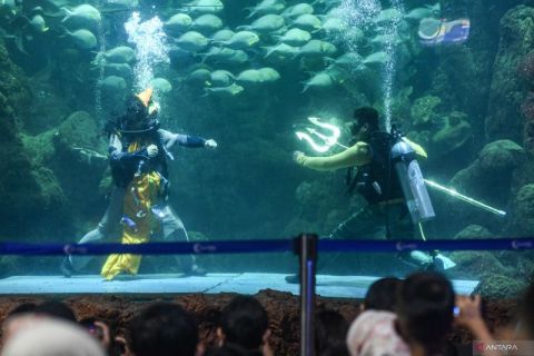 Atraksi barongsai dalam air di Sea World Ancol