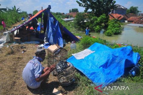 Warga korban banjir mengungsi di tanggul sungai