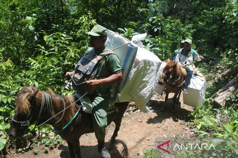 Distribusi logistik Pemilu menggunakan kuda di kawasan TN Meru Betiri