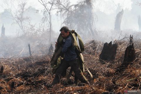 Karhutla di Aceh Barat akibat pembukaan lahan