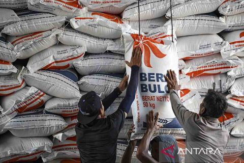 Bulog pastikan cadangan beras nasional aman hingga Juni 2024