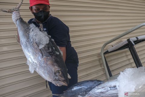 Sultra ekspor hasil perikanan ke Filipina dan Amerika