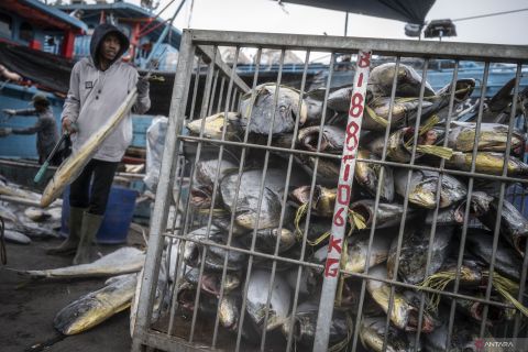 Produksi perikanan 2024 targetkan 30,85 juta ton