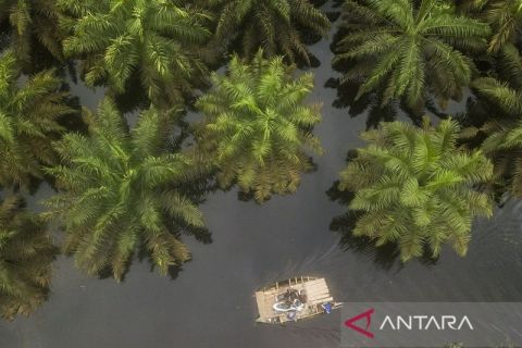 Jasa angkutan sepeda motor dapat berkah dari banjir Jambi