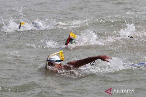 Ratusan perenang ramaikan Fin Swimming di Selat Madura