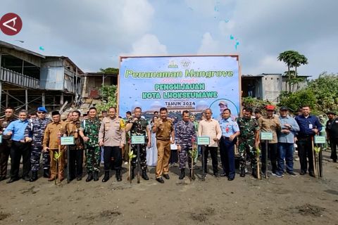 Hijaukan kota, Pemkot Lhokseumawe tanam 3000 pohon mangrove