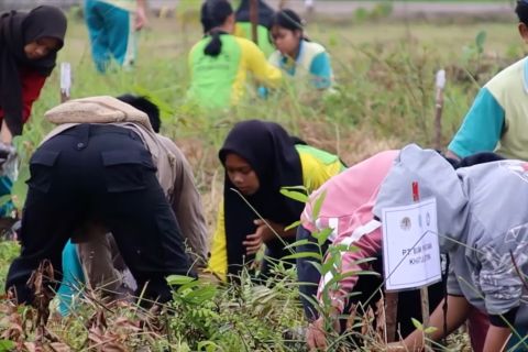 KLHK terapkan program RHL berbasis masyarakat di Kalbar