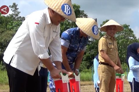 Manfaatkan lahan tidur, BI Sultra gandeng TNI kuatkan ketahanan pangan