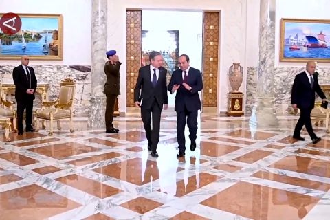 Presiden Mesir bertemu Menlu AS, bahas krisis Gaza