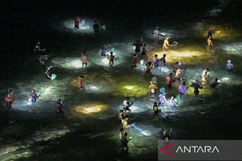 Bau Nyale tradisi turun temurun masyarakat Sasak tingkatkan kunjungan wisata di Lombok