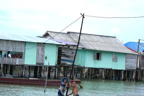 Program PT PLN desa energize