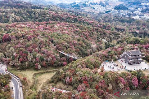 Indahnya pemandangan musim semi di Guizhou China