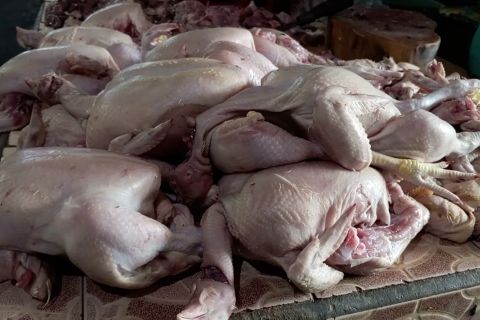 Jelang puasa, harga cabai dan daging ayam naik