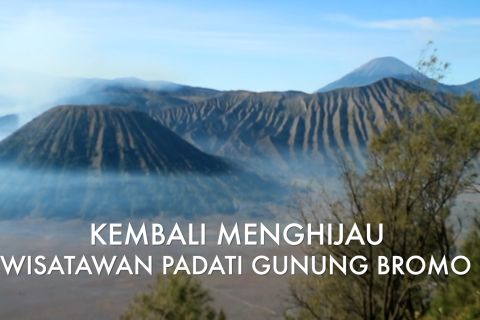 Kembali menghijau, wisatawan padati gunung Bromo