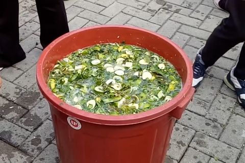 Cegah DBD, SDN Tangerang 3 ciptakan abate alami