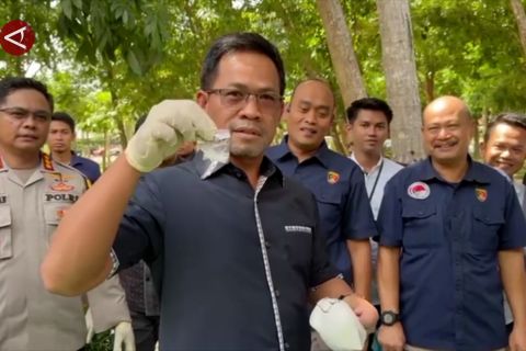 Polda Sultra musnahkan narkotika hasil penindakan tiga bulan