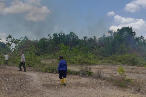 Kalsel siap hadapi kemarau lewat penguatan Perda Pengendalian Karhutla