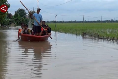 Banjir rendam persawahan, Bupati ajak petani manfaatkan asuransi