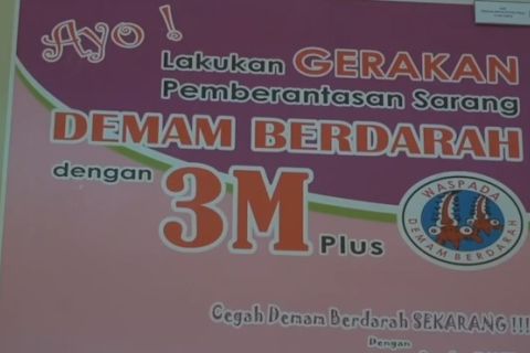 Imbauan Kemenkes untuk hindari DBD bagi pemudik