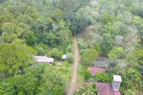 Sejumlah Rp122 miliar dana karbon Kaltim disalurkan ke masyarakat desa