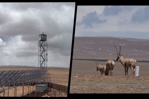 Teknologi baru bantu konservasi satwa di kawasan 'atap dunia'