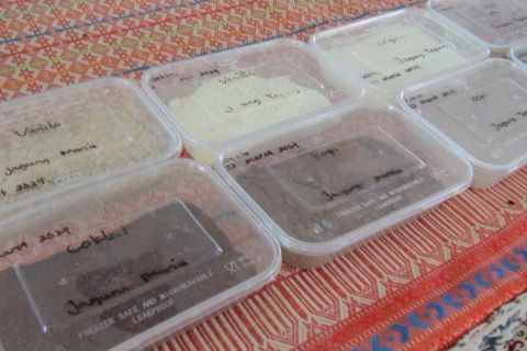 UMKM Palangka Raya olah jagung manis jadi serbuk minuman