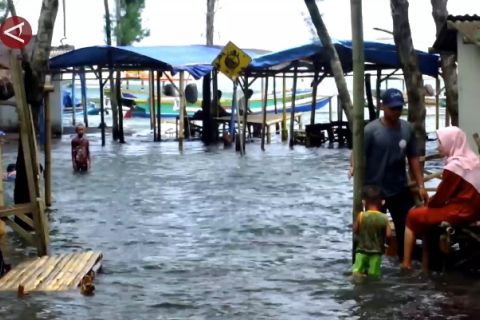 Pasang air laut dekati permukiman, ini imbauan BPBD Jember