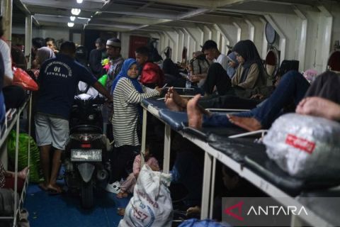 Jumlah pemudik kapal laut dari Kendari ke Kabupaten Muna dan Wakatobi melonjak