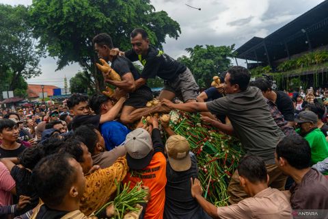 Grebeg Syawal di Keraton Yogyakarta
