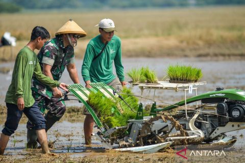 Program ketahanan pangan nasional tahap kedua