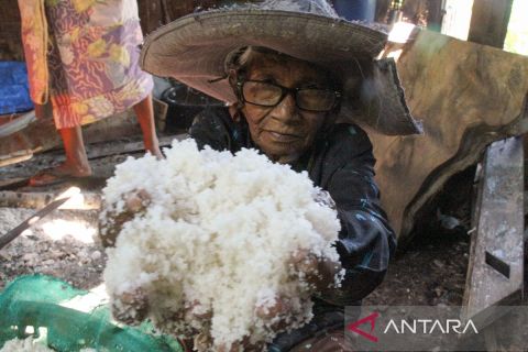 BPN Aceh Utara fasilitasi sertifikasi halal UMKM garam