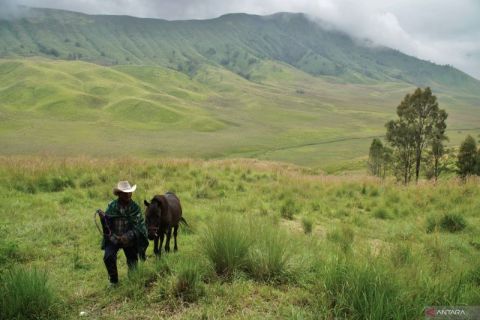 Penutupan sementara kawasan wisata Gunung Bromo