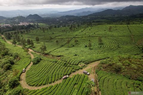 Wisata petualangan dengan Land Rover
