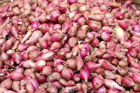 Sebut produksi bawang merah cukup, Mendag larang impor