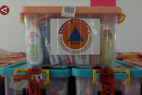 BNPB pastikan pendampingan pasca erupsi Gunung Ruang tuntas