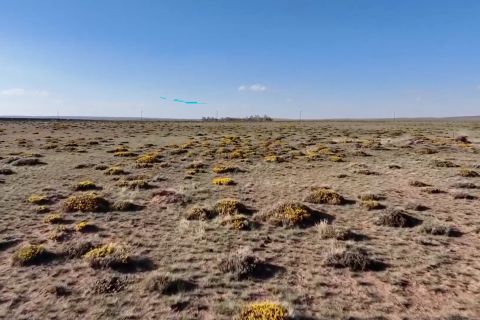 China utara mulai moratorium penggembalaan untuk peremajaan rumput