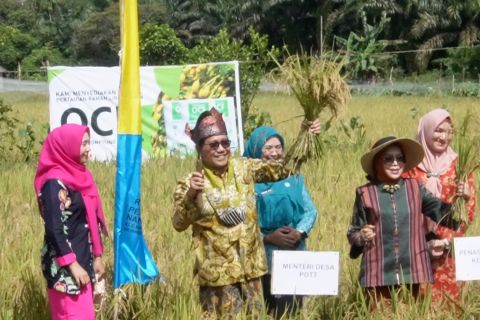 Desa Namang Babel sukses beralih dari desa tambang ke desa pertanian