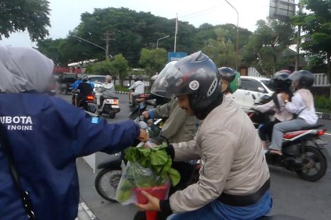 Petani Temanggung bagikan 1.700 paket sayuran gratis